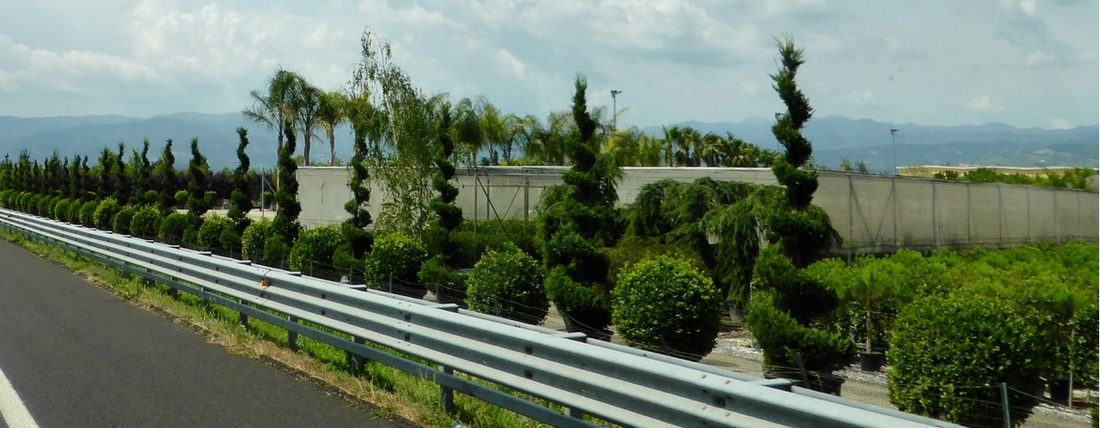 真实 真心 真诚 裸装者新闻发布会在沪隆重召开!|三亿体育手机版