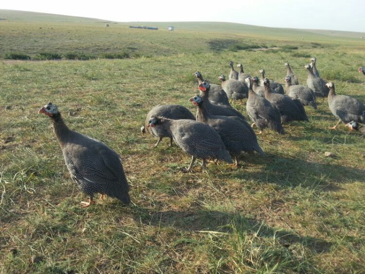 第70届柏林电影节公布入围展映单元影片 贾樟柯新作入围【三亿体育官网】(图2) 三亿体育手机版