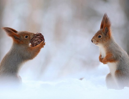 三亿体育手机版_《爱你3000》MV则将于9/10中午12点在YouTube《潘玮柏官方频道》首播(图4) 三亿体育手机版