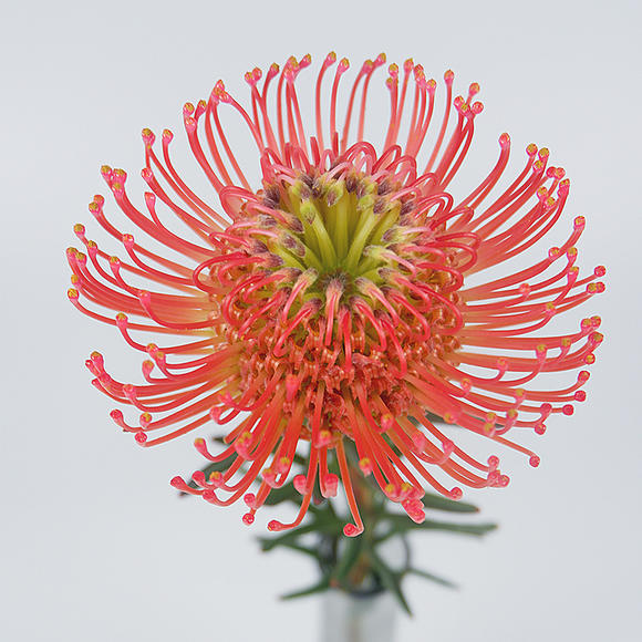 三亿体育:《做家务的男人》收官 袁弘魏大勋朱丹发文留念(图2) 三亿体育手机版