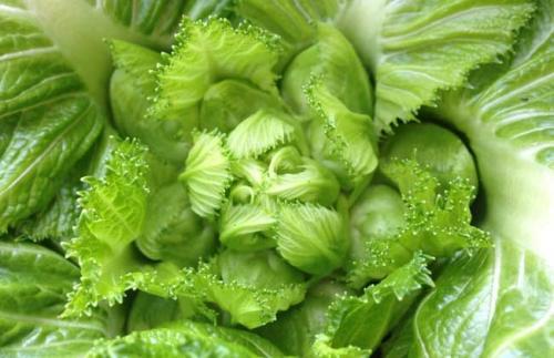 三亿体育官网:2014年12月中国木材市场价格指数(TPI)(图2) 三亿体育