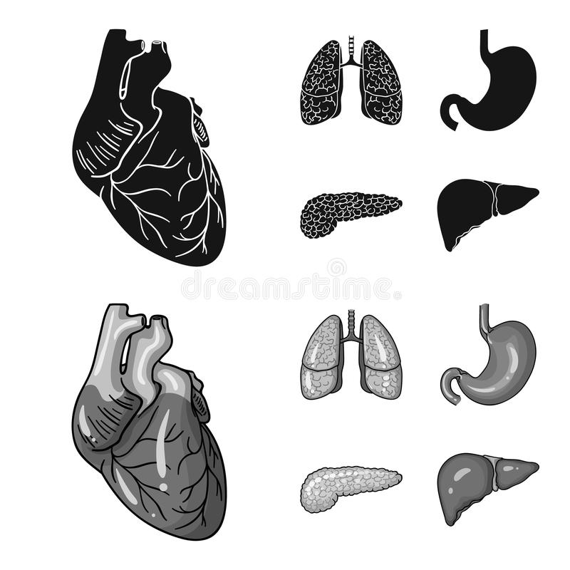【三亿体育】复联4问鼎全球票房冠军 罗素兄弟SDCC携AGBO公布未来计划(图2) 三亿体育手机版