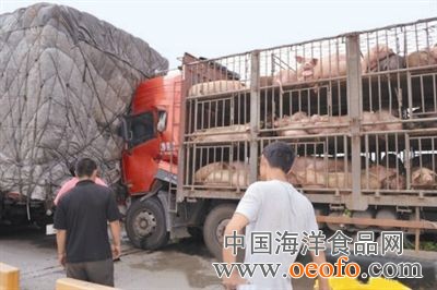 三亿体育手机版_温家宝:经济刺激政策早退可能致前功尽弃(图1) 三亿体育官网