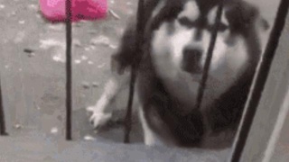 三亿体育手机版