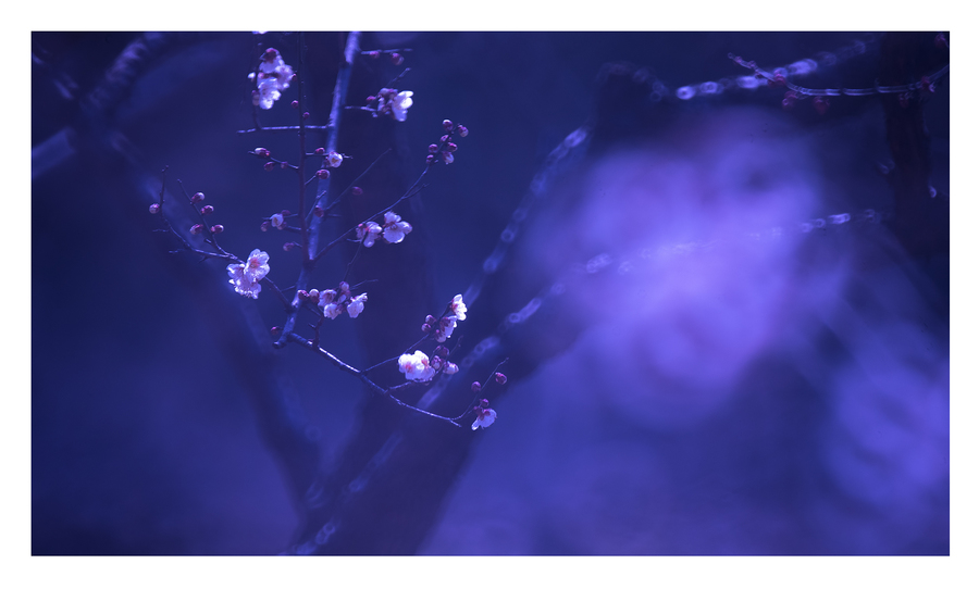 三亿体育官网|蔡康永首导电影《“吃吃”的爱》首映 韩寒助阵力挺(图1) 三亿体育