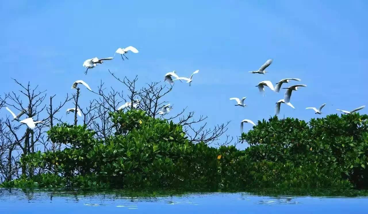 三亿体育手机版