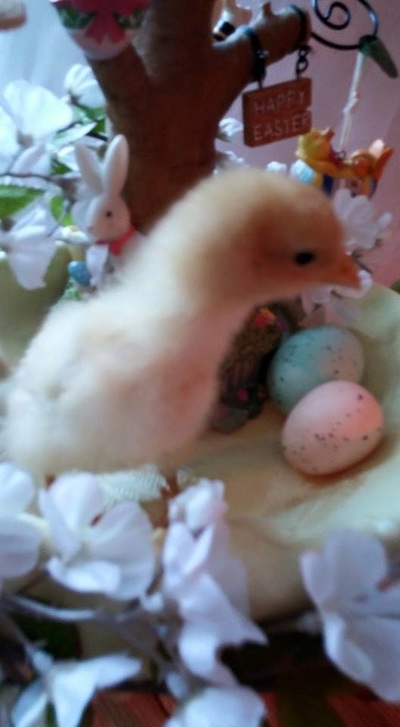 三亿体育手机版|秒变广告达人,广告圈行业术语及常用英文扫盲(图3) 三亿体育