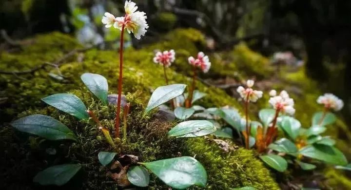 ‘三亿体育官网’《霹雳娇娃》全球主题曲MV登顶56国音乐榜冠军 电影未映先火引期待(图2) 三亿体育官网