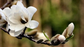 世界杯热辣来袭  PPTV聚力等你入场“三亿体育手机版”