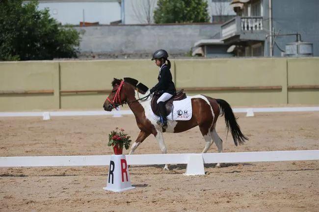 三亿体育手机版|2014年5月全国原木及锯材进口总量增长11.74%