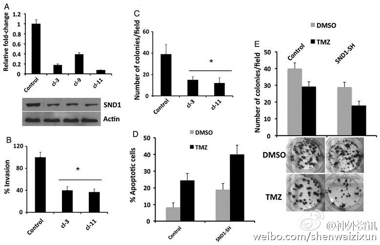 “三亿体育”尼尔森：2013年一季度中国消费者信心指数保持稳定