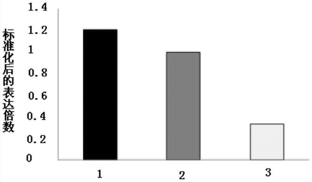 《利刃出鞘》全球票房破3亿美元续集项目将开机“三亿体育手机版”(图4) 三亿体育手机版