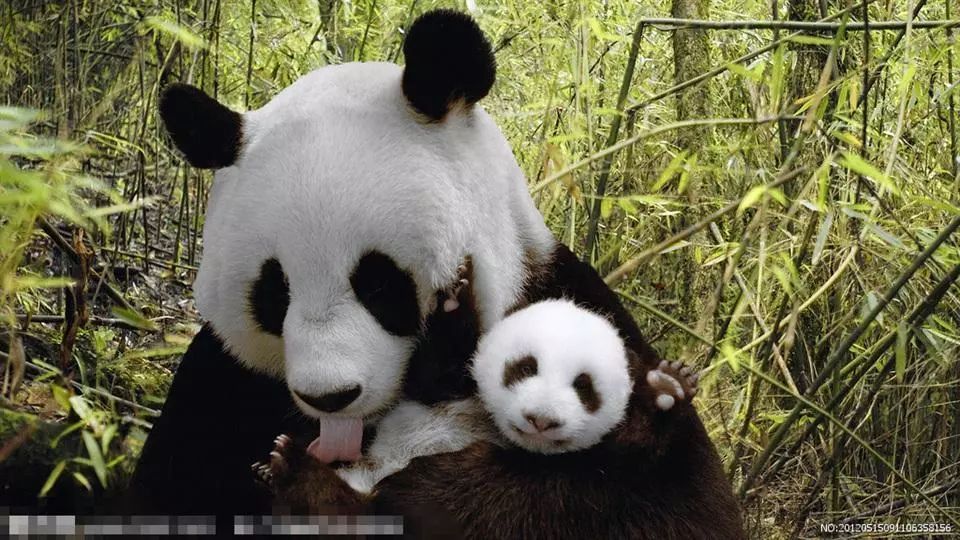 三亿体育手机版