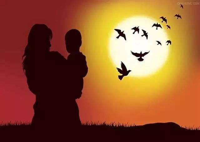 木材市场(7.8-14)出货量与价格变动分析【三亿体育官网】(图1) 三亿体育